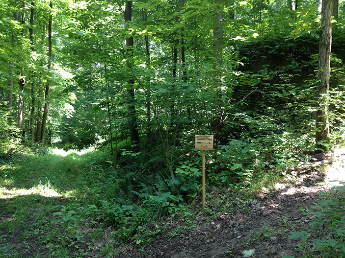 The hiking trails of the Woodbury Cabin Rental are marked with signs like the one seen in this photo.